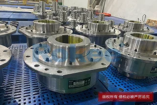 DC035卷筒联轴器加工厂家,DC035卷筒联轴器制造厂家,Rokee